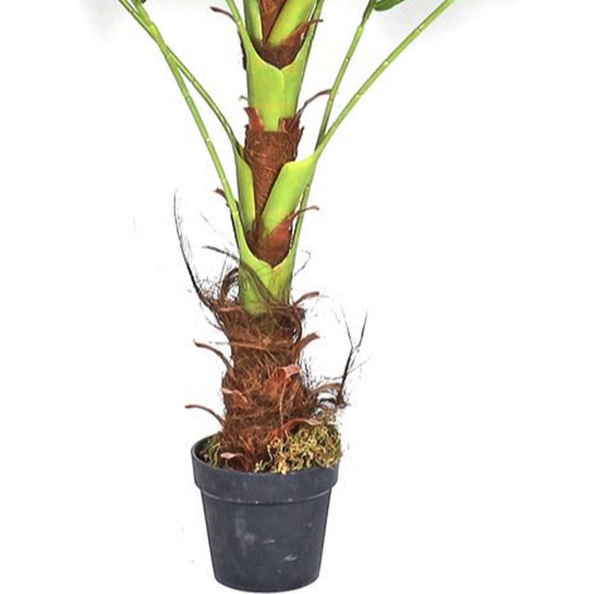 Kunstplant Sago Palm – Cycas Revoluta – Ø60 x 142,5 cm – Levensechte Exotische Kunstpalm voor Binnen – Onderhoudsvrije Kunstboom als Tropische Interieurdecoratie – Groen