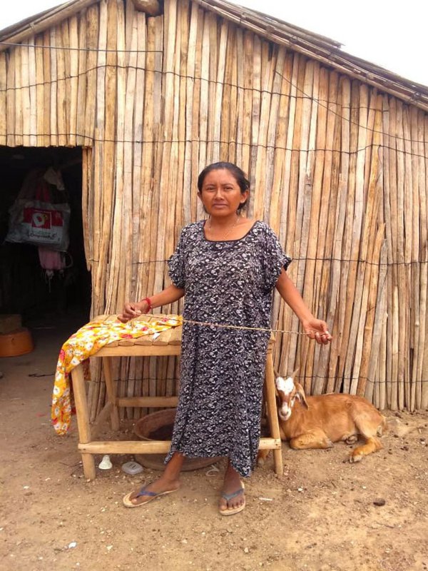 Salado | Coco hermoso