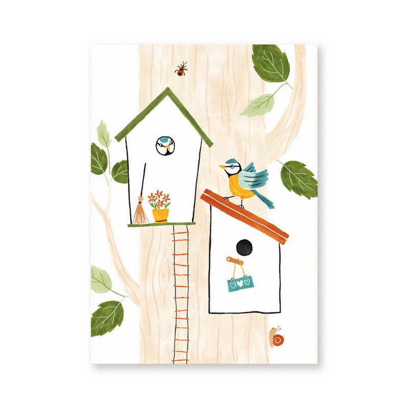 Postcard | Birdhouses | Birds