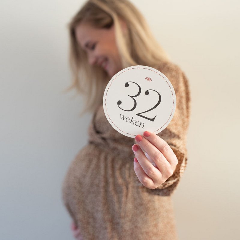 Pregnancy Milestone Cards