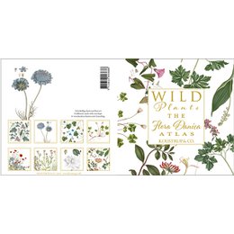 Atlas Flora Danica - Dzikie rośliny - Kwadratowy folder na karty