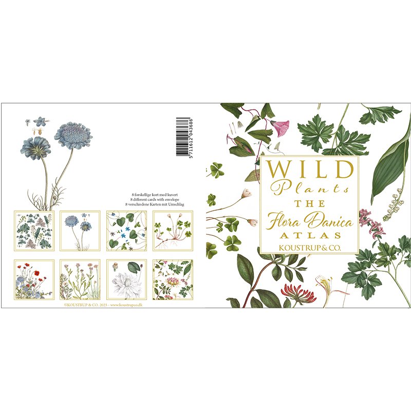 The Flora Danica Atlas - Wild plants - Square card folder