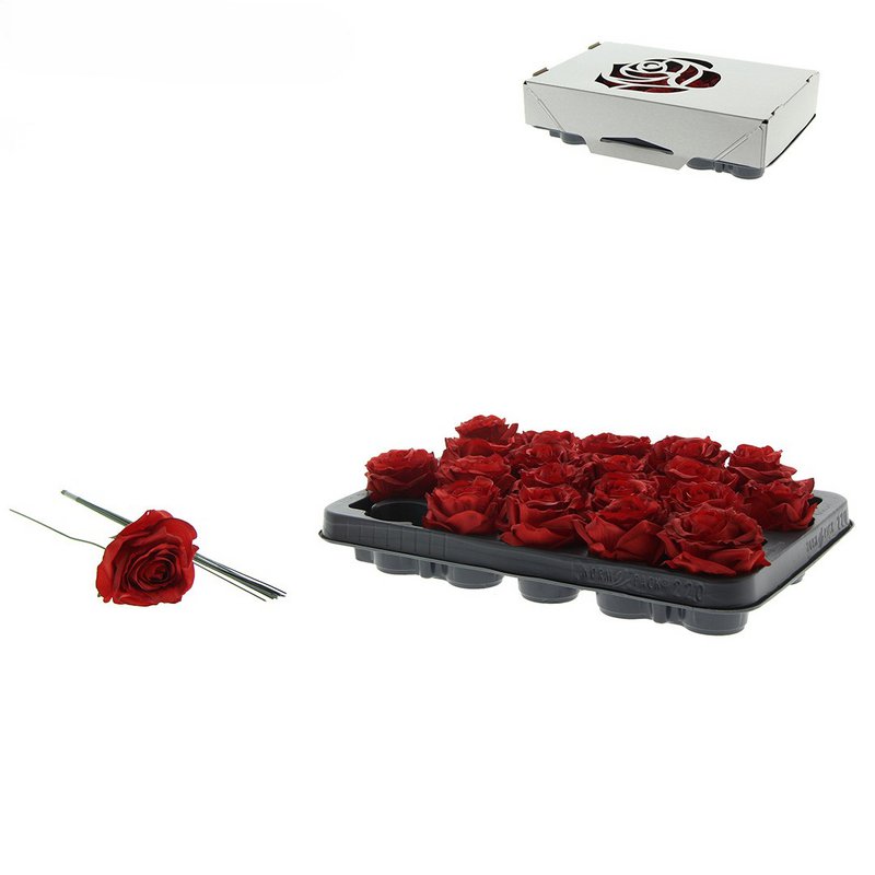 Rose Decooz® Silk - Red