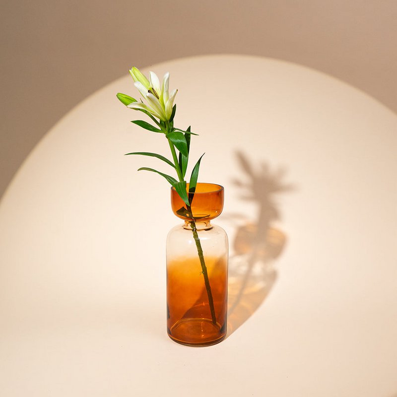 Vase | Handgeblasene, getönte Grande-Size-Farben | Glas
