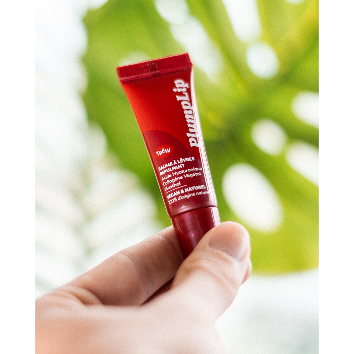 Technisches Paket: PlumpLip - PeelLip - GlowLip