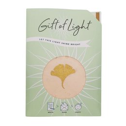 Gift of Light  | Display