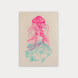 Postkarte / Qualle und Fisch / Ökopapier