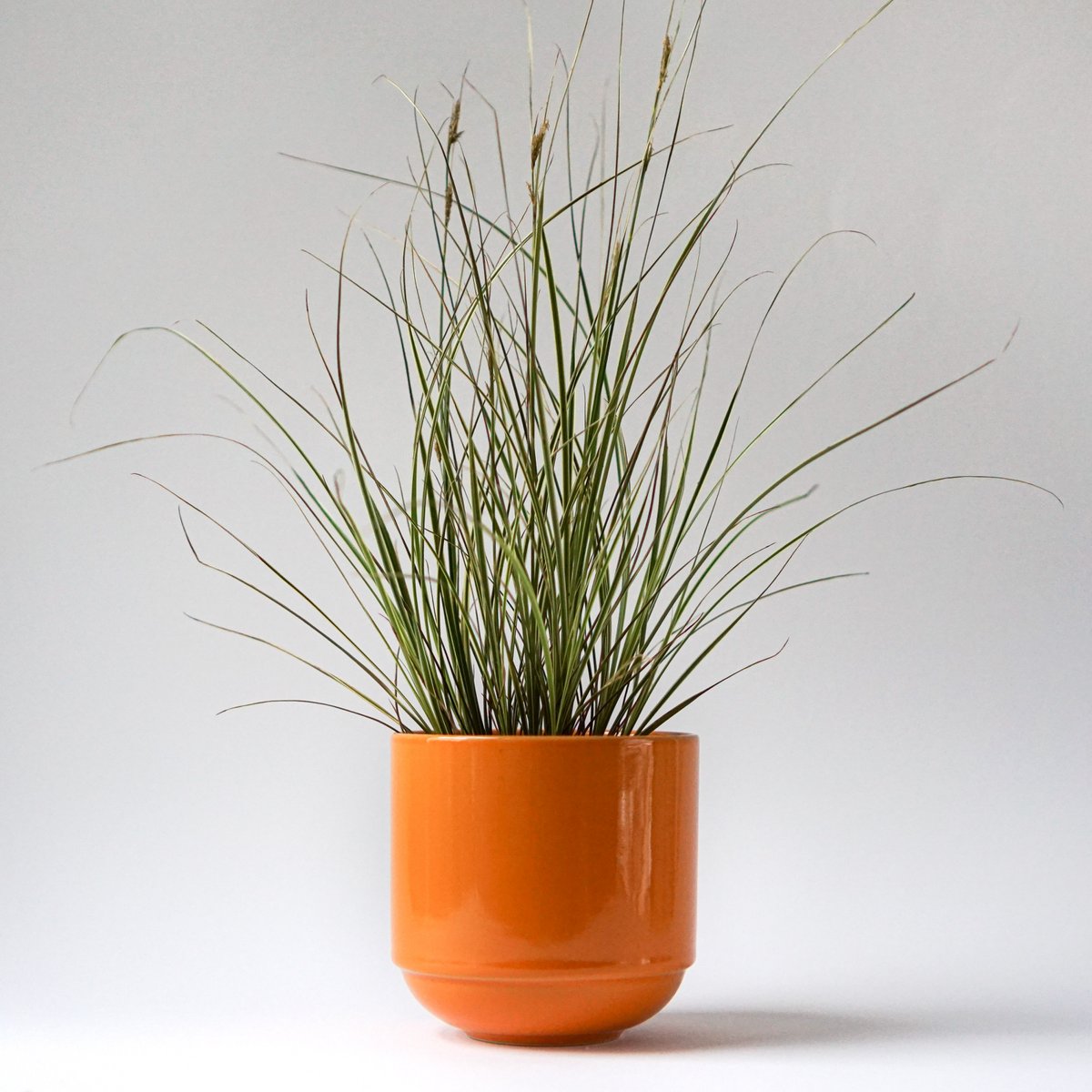 Bowl with lid MoxBowl Mathilde - deep orange - 500ml