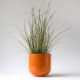 Miska z pokrywką MoxBowl Mathilde - głęboka pomarańcza - 500ml