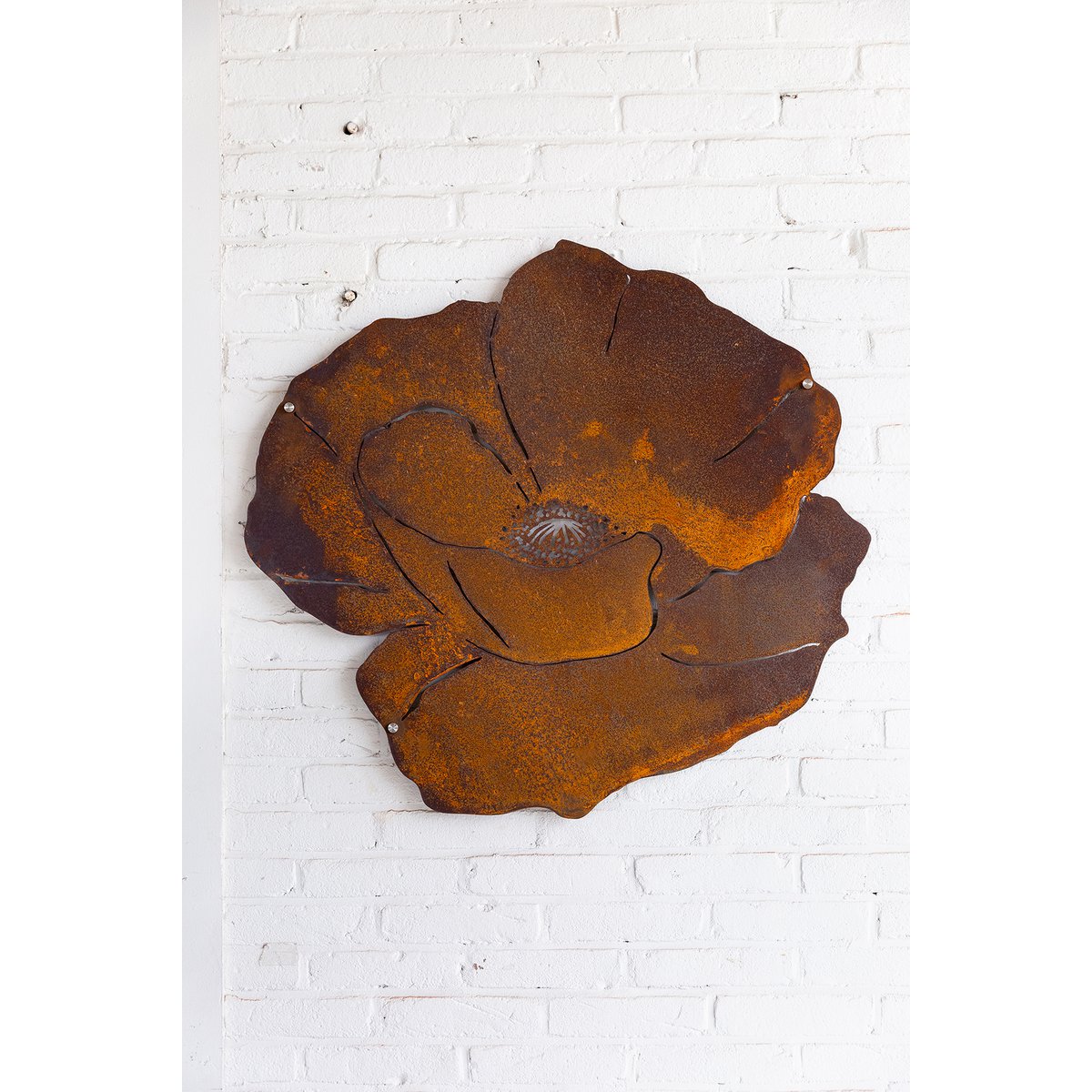 Wall Flower M