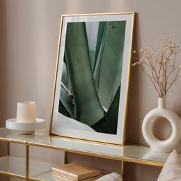 Poster: Agave