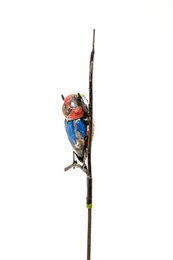 ZIMBA-ARTS CHOUETTE COLORÉE EN MÉTAL SUR BÂTON