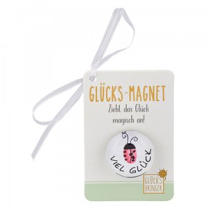 Lucky magnet made of glass, beetle