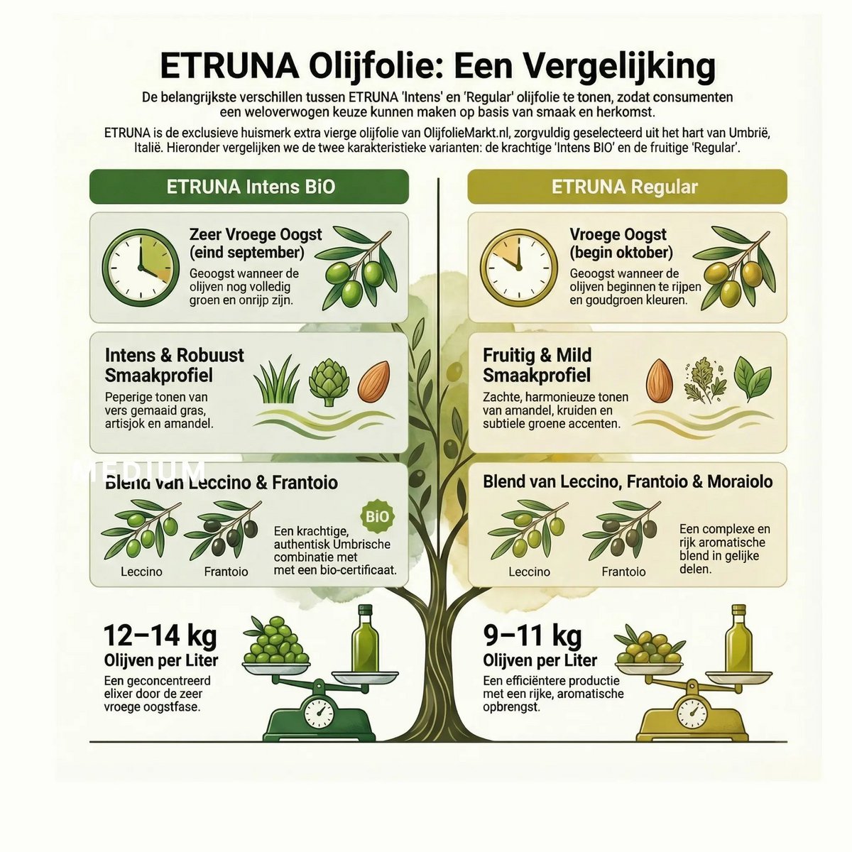 Etruna – Umbrische Extra Vierge Olijfolie – 500ml