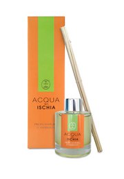 A 100 ml glass package reed diffuser with 10 sticks, featuring a fresh and vibrant home fragrance.