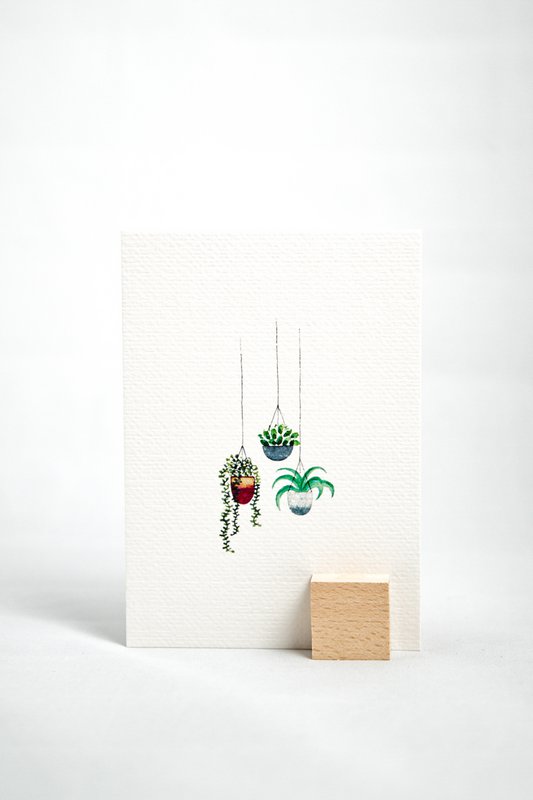 Plantes suspendues