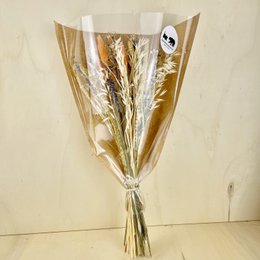 Bukiety BLOOMY Suszone kwiaty Beżowy