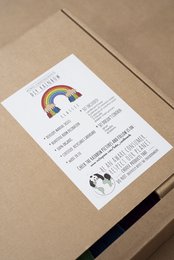 DIY RAINBOW / CLASSIC