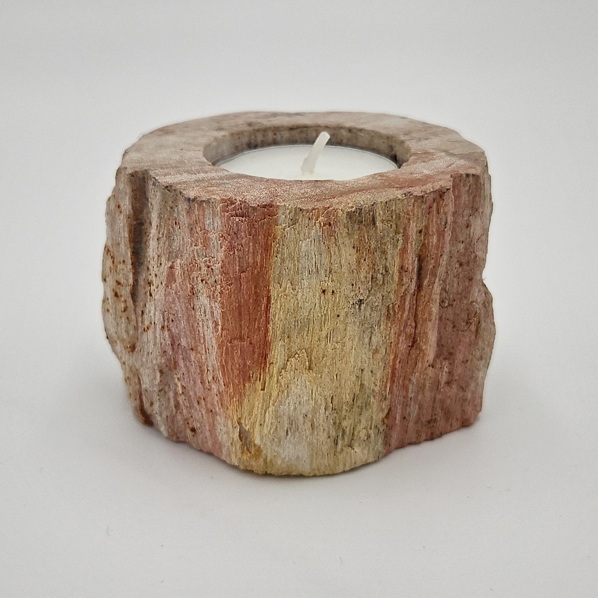 Photophore en bois pétrifié – Objet naturel unique