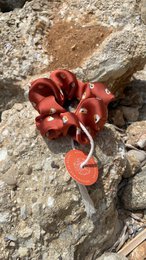 Scrunchie - Rust Flower - Recycled