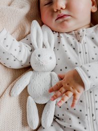 Way Back When Rabbit