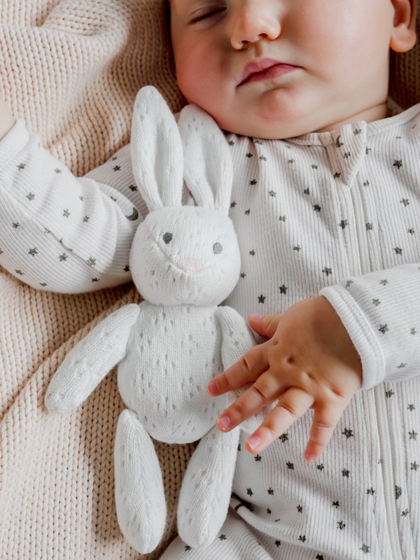 Way Back When Rabbit