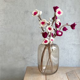 Fiore di ciliegia grande rosa bianco