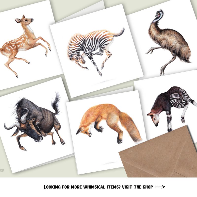 Puledro zebra - Biglietto d'auguri, 13 x 13 cm, fauna selvatica, cartoline