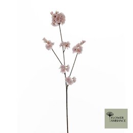 Prunus malaga spray pink 84cm