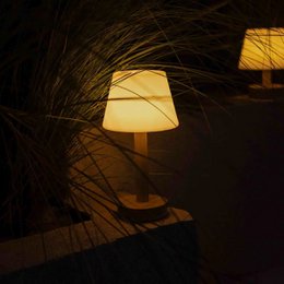 Zoë Light Brown Wooden Rechargeable Table Lamp