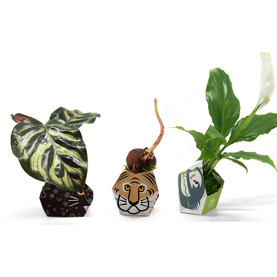 3 OriBon - Rainforest animals collection