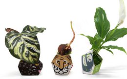 3 OriBon - Rainforest animals collection