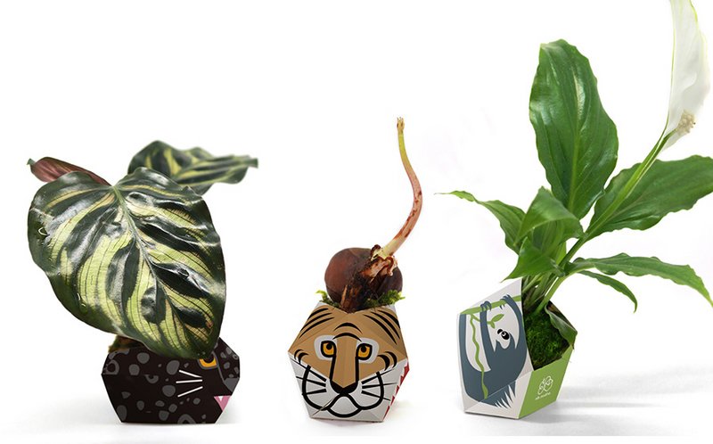 3 OriBon - Colección de animales de la selva tropical