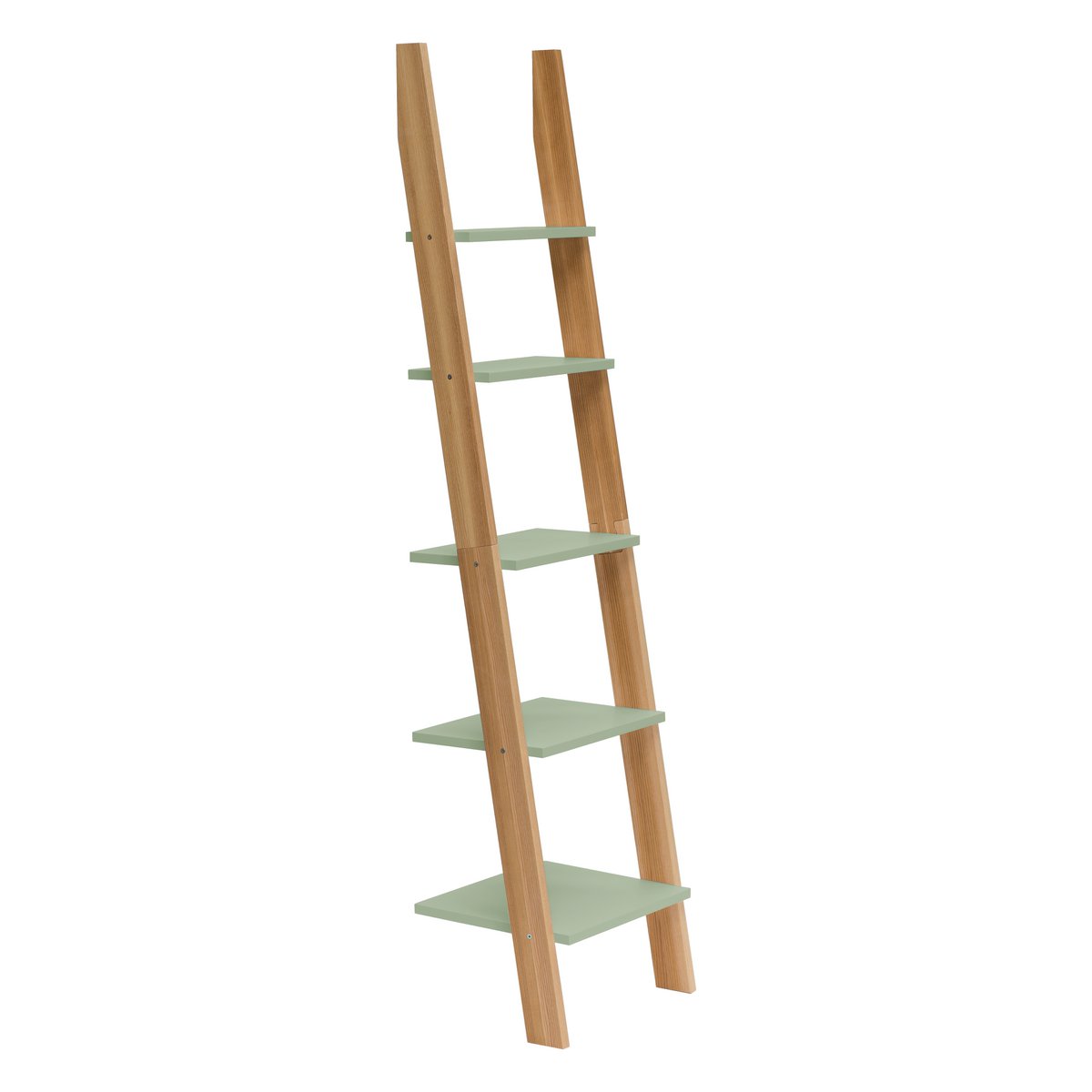 ASHME Laddershelf