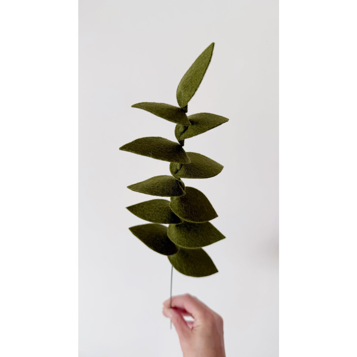 Filzblume Gemüsezweig dunkelgrün
