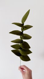 Følte blomstergrøntsagergren mørkegrøn