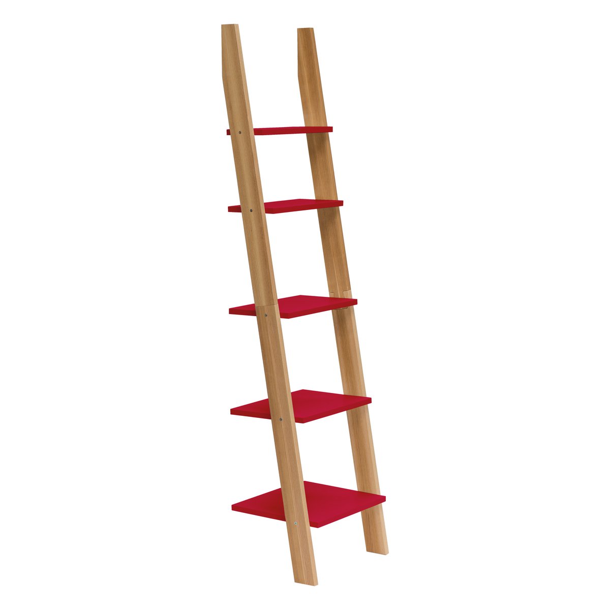 ASHME Laddershelf