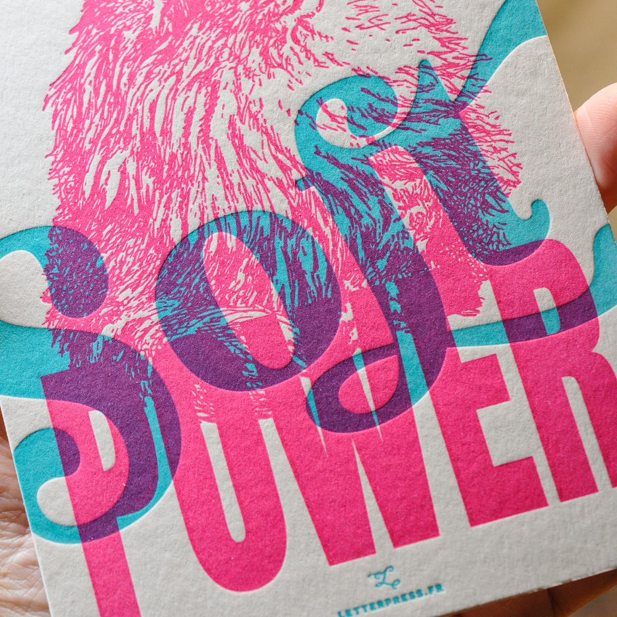 Le Chat Soft Power Letterpress Card (with envelope)