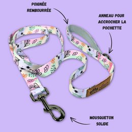 Pastel dog leash