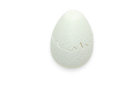 Egg with chick