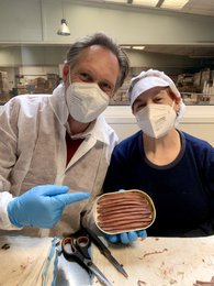 ANCHOVIES FROM THE  CANTABRIC SEA. SPRING SEASON CATCH