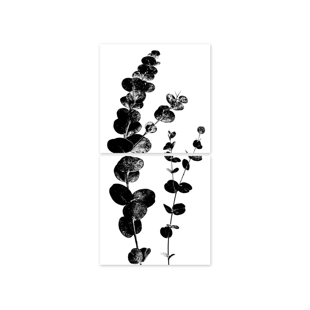 Eucalyptus - stickers voor tegels