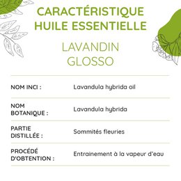 Grundlegende Bio -Lavandin ätherische Öl 10ml