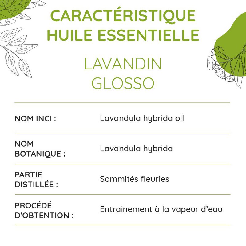 Grundlegende Bio -Lavandin ätherische Öl 10ml
