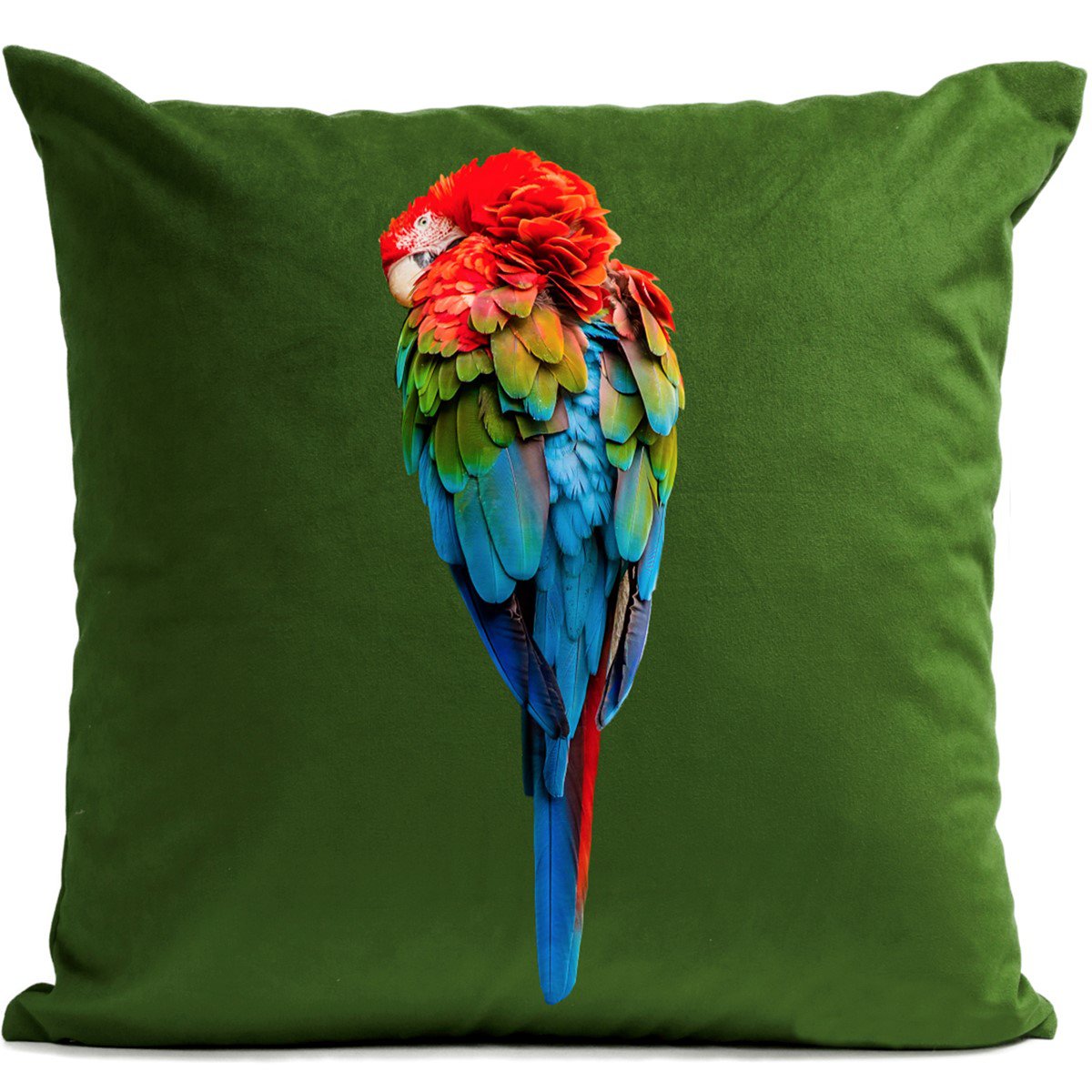 Bird Cushion, Red Parrot