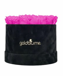 Velvet Black Collection