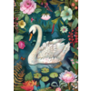 The Chinese Garden: Zwaan | Kaart Fripperies