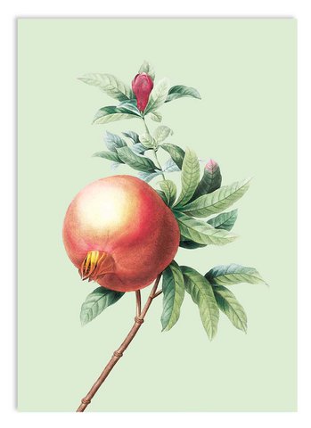 Miniprint A5 Gravity