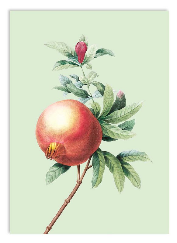 Miniprint A5 Gravità