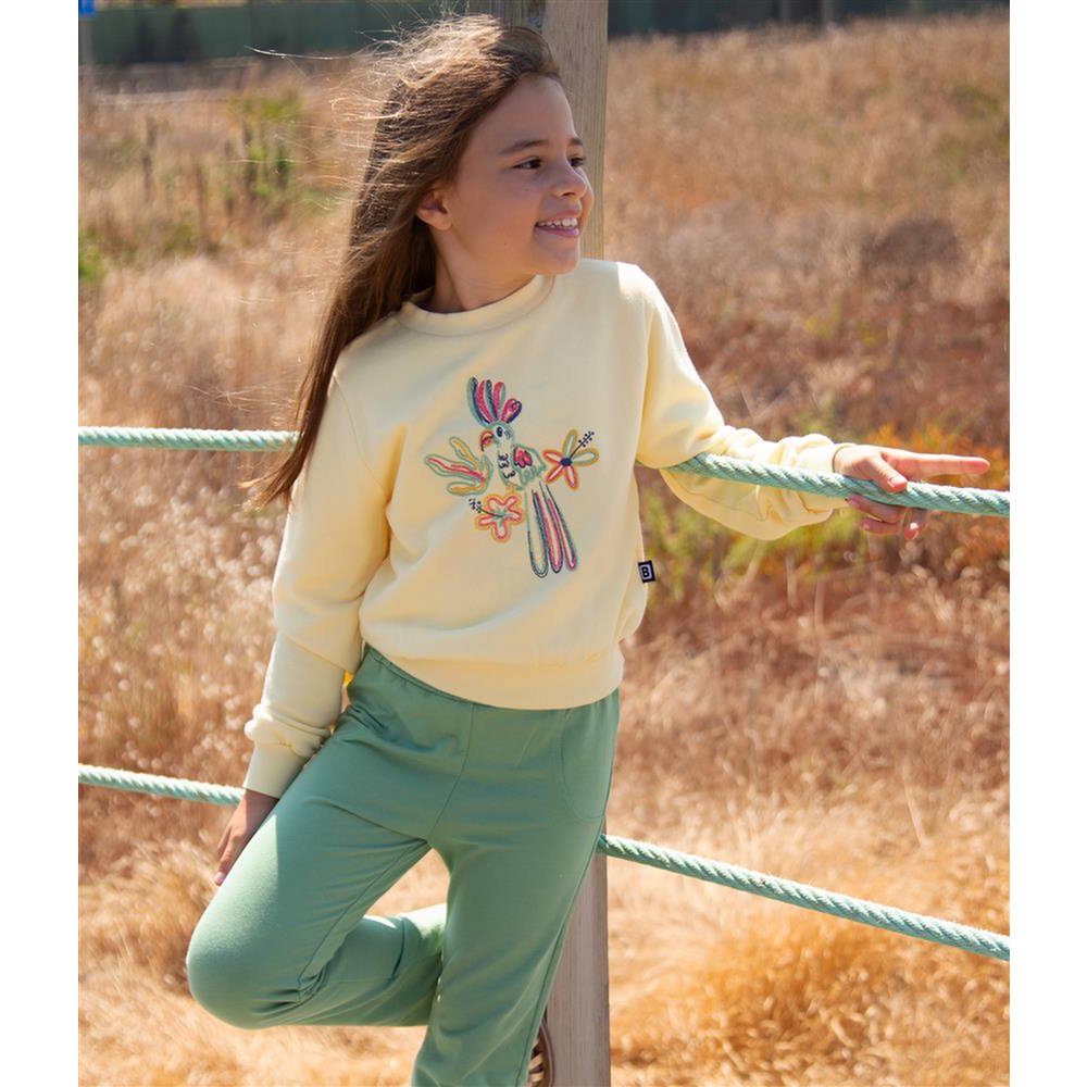 Sweat-shirt Oiseau